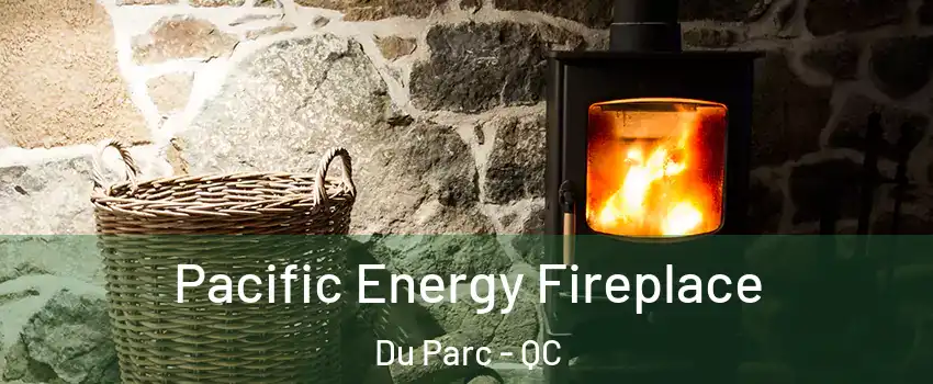  Pacific Energy Fireplace Du Parc - QC