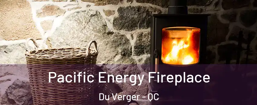  Pacific Energy Fireplace Du Verger - QC