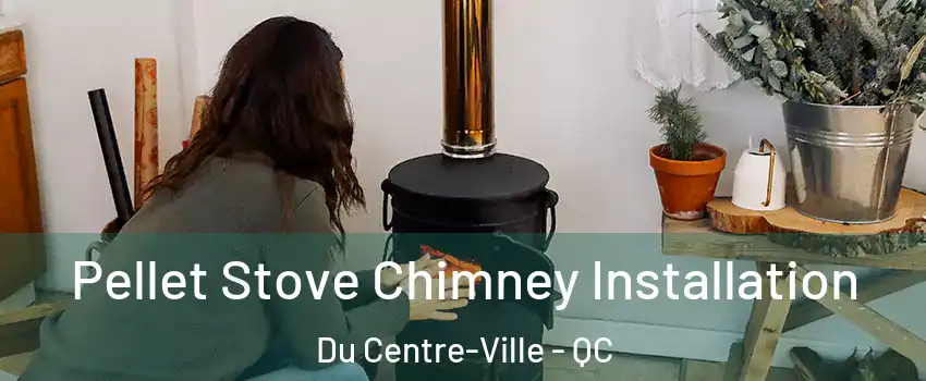  Pellet Stove Chimney Installation Du Centre-Ville - QC