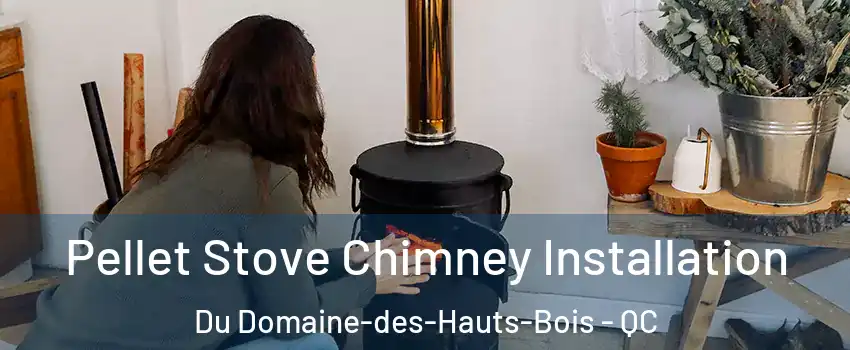  Pellet Stove Chimney Installation Du Domaine-des-Hauts-Bois - QC