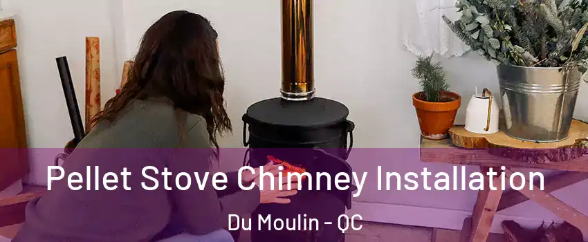  Pellet Stove Chimney Installation Du Moulin - QC