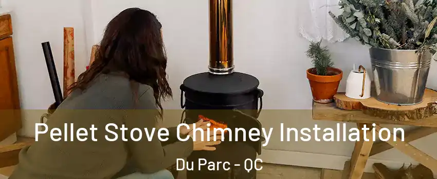  Pellet Stove Chimney Installation Du Parc - QC