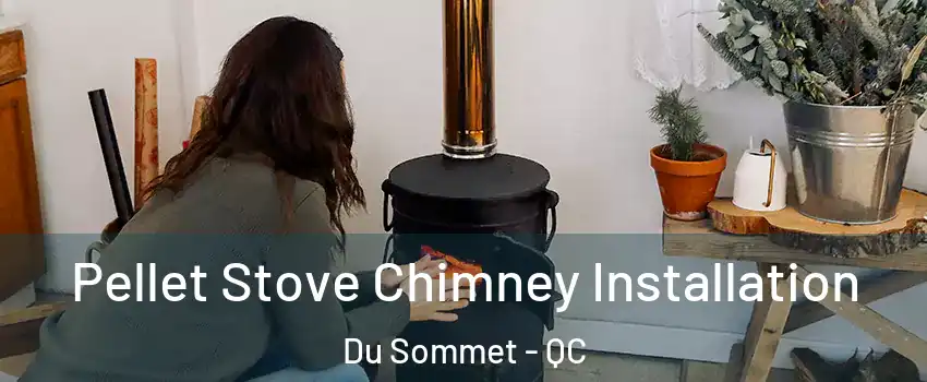  Pellet Stove Chimney Installation Du Sommet - QC