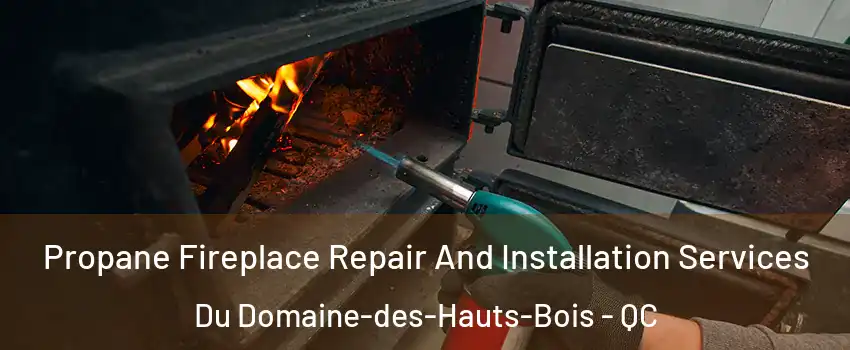  Propane Fireplace Repair And Installation Services Du Domaine-des-Hauts-Bois - QC