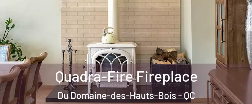  Quadra-Fire Fireplace Du Domaine-des-Hauts-Bois - QC