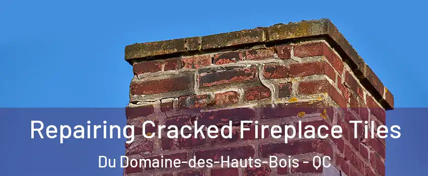  Repairing Cracked Fireplace Tiles Du Domaine-des-Hauts-Bois - QC
