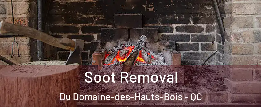 Soot Removal Du Domaine-des-Hauts-Bois - QC