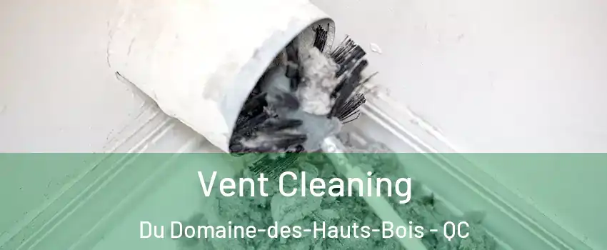  Vent Cleaning Du Domaine-des-Hauts-Bois - QC