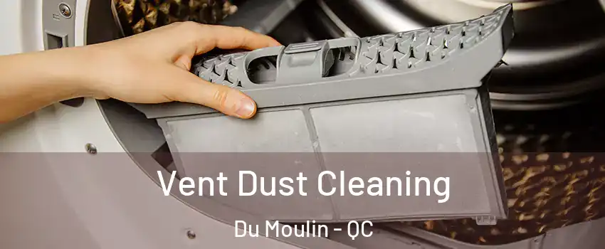  Vent Dust Cleaning Du Moulin - QC