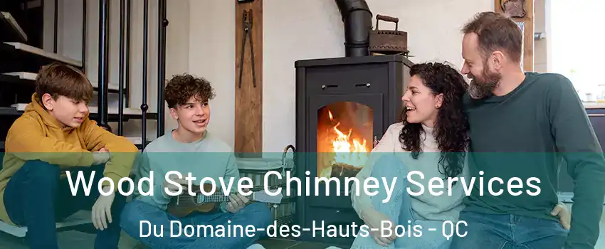  Wood Stove Chimney Services Du Domaine-des-Hauts-Bois - QC