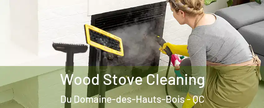  Wood Stove Cleaning Du Domaine-des-Hauts-Bois - QC