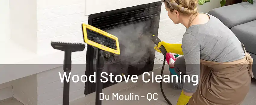  Wood Stove Cleaning Du Moulin - QC