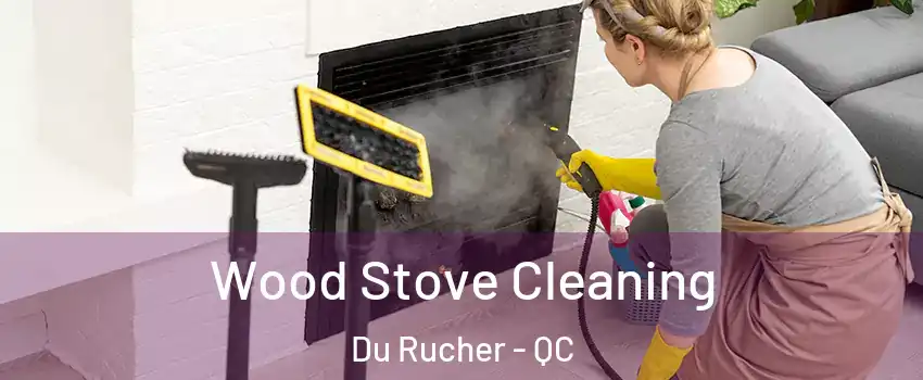  Wood Stove Cleaning Du Rucher - QC