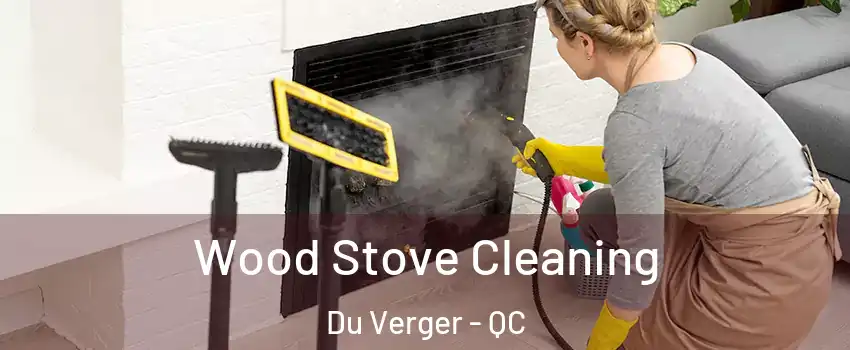  Wood Stove Cleaning Du Verger - QC