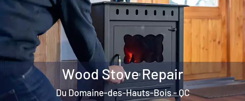  Wood Stove Repair Du Domaine-des-Hauts-Bois - QC